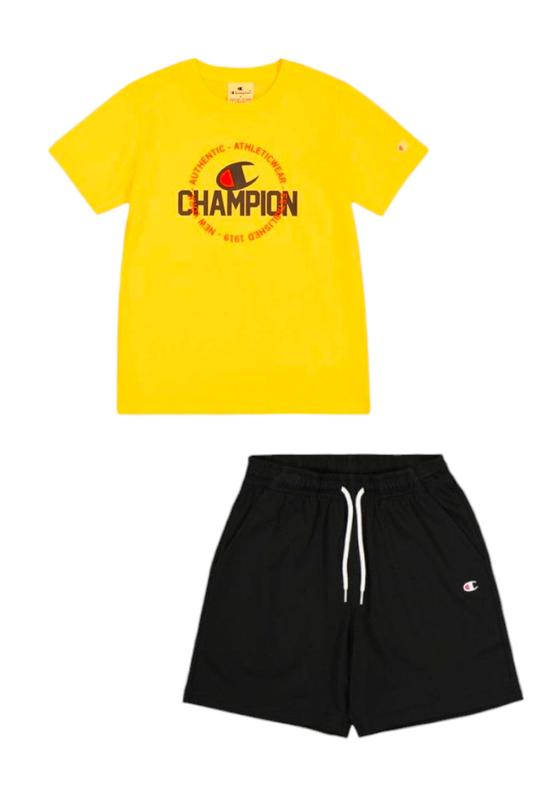 TUTE Giallo/blu Champion