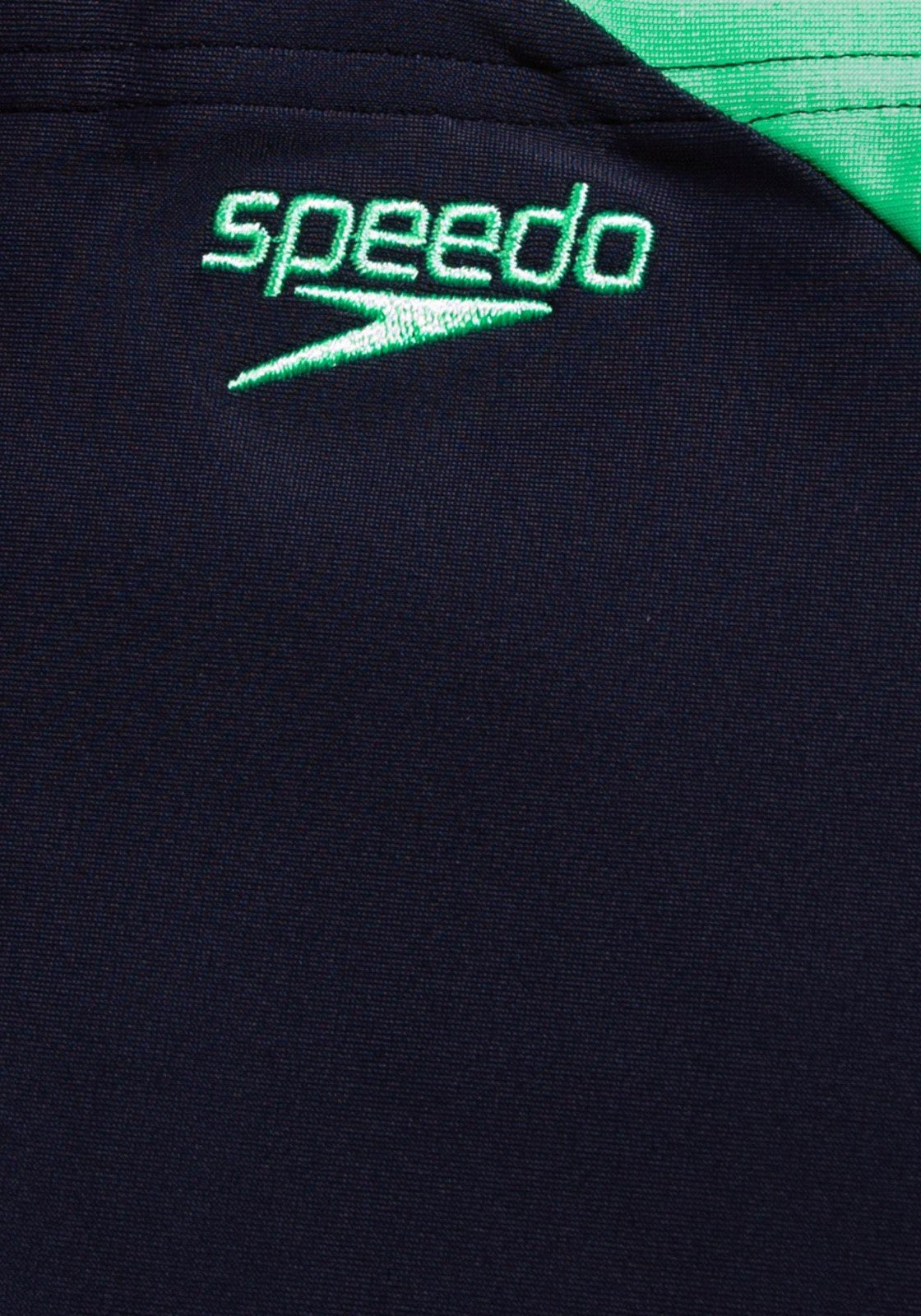 COSTUMI Blu/verde Speedo