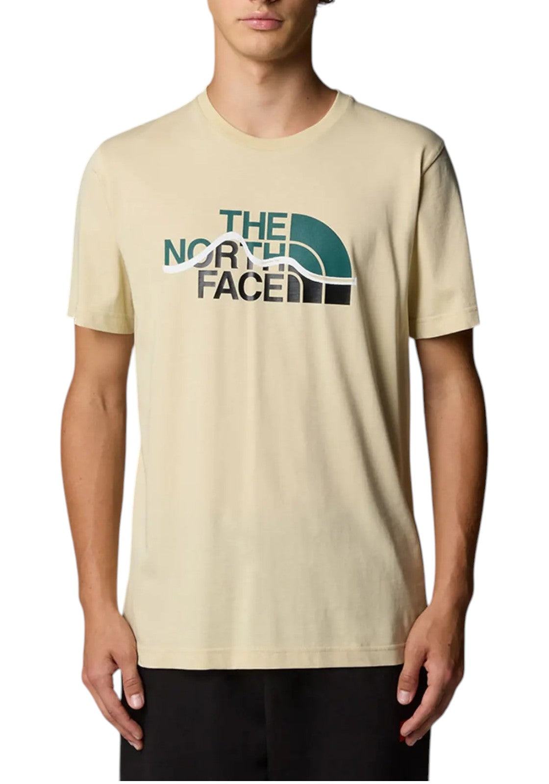 T-SHIRT E CANOTTE Beige/verde The North Face