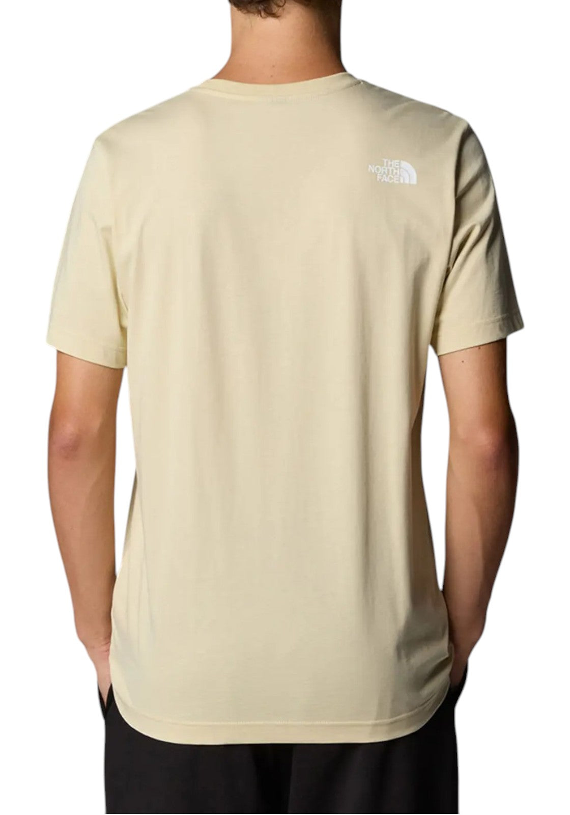 T-SHIRT E CANOTTE Beige/verde The North Face
