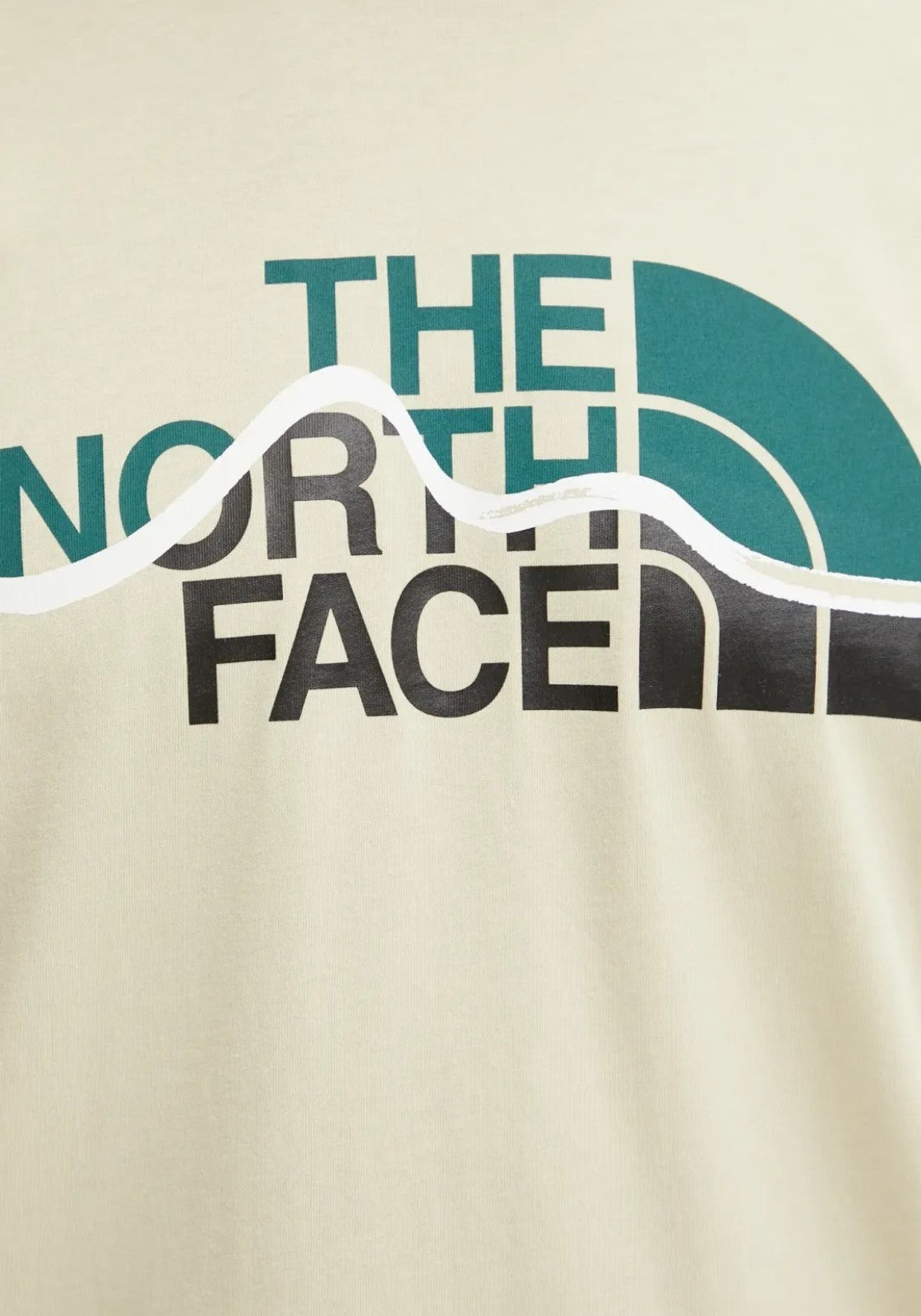 T-SHIRT E CANOTTE Beige/verde The North Face