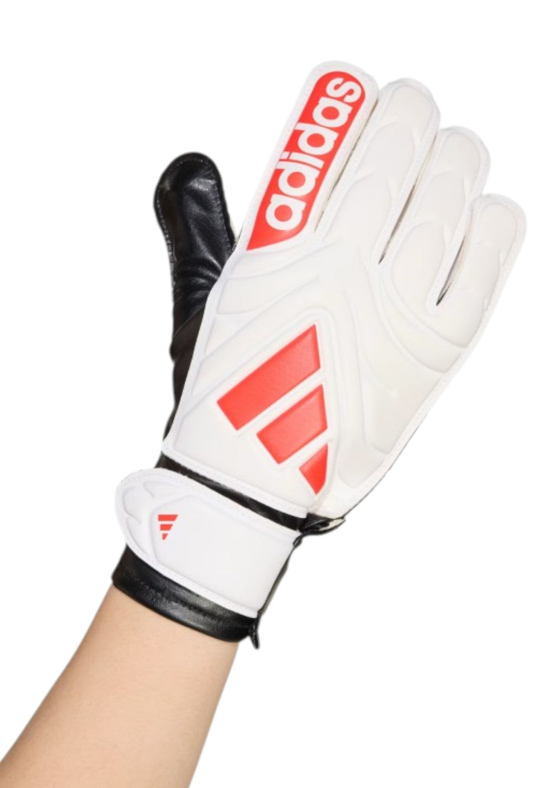 CALCIO Bianco/rosso Adidas