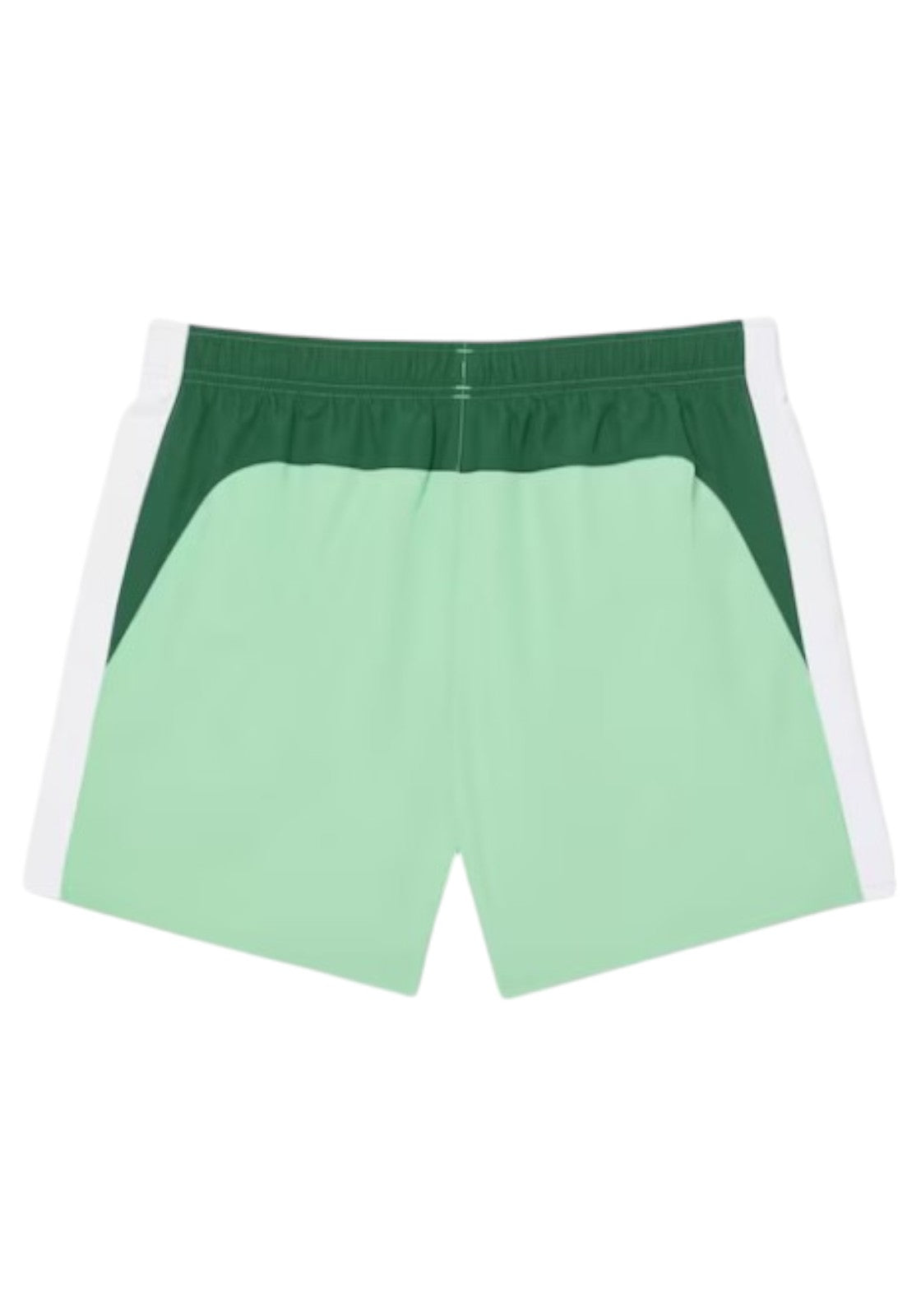 COSTUMI Verde/bianco Lacoste