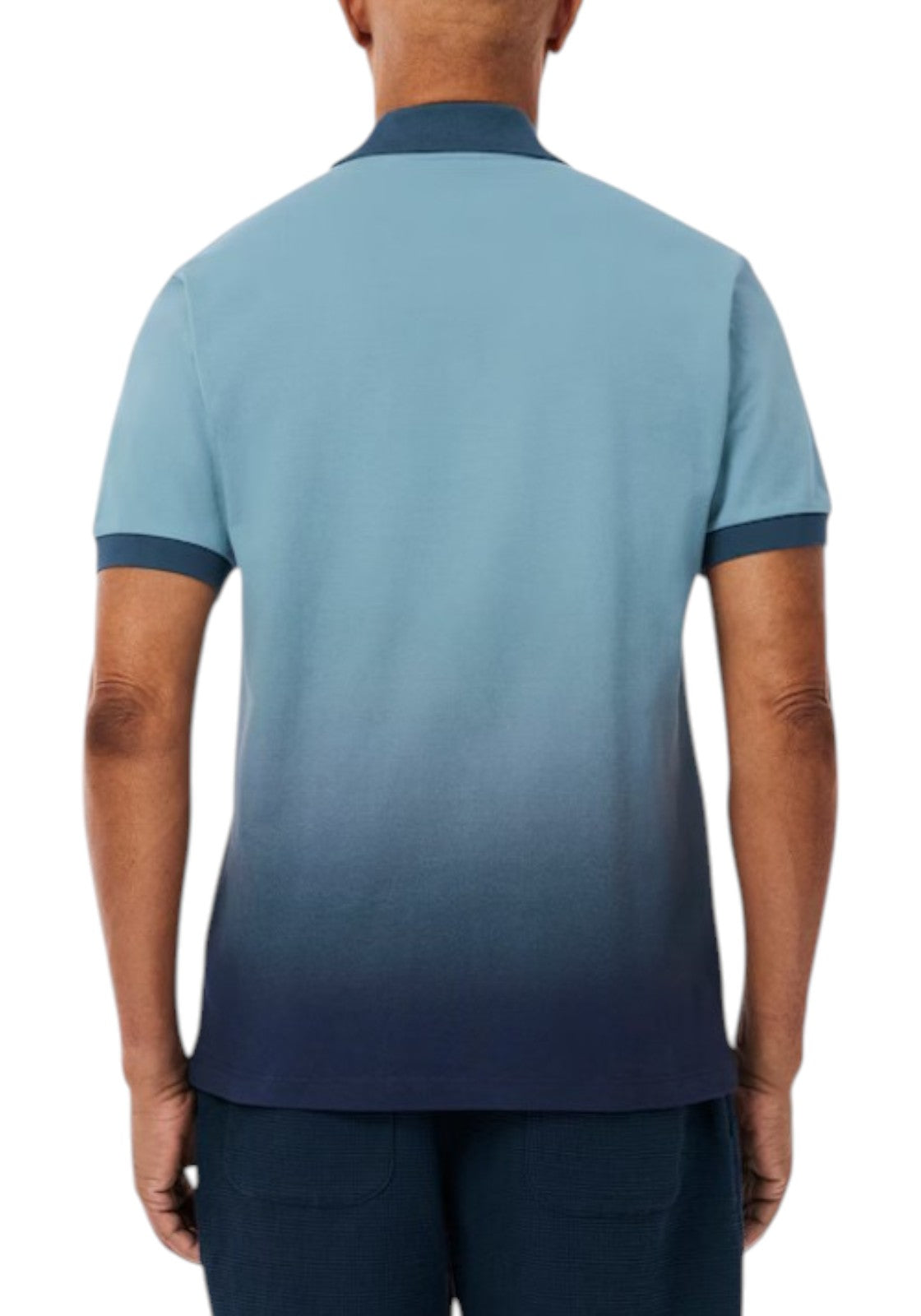 MAGLIONI E POLO Celeste/blu Lacoste