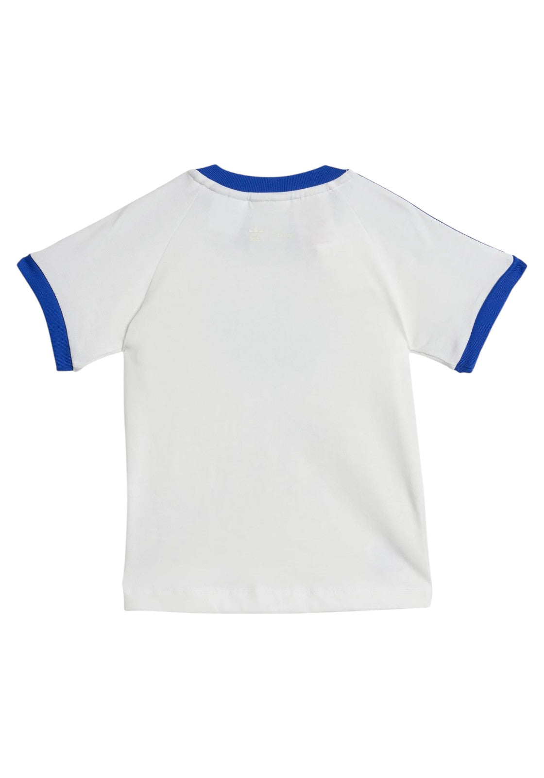 TUTE Bianco/azzurro Adidas Originals