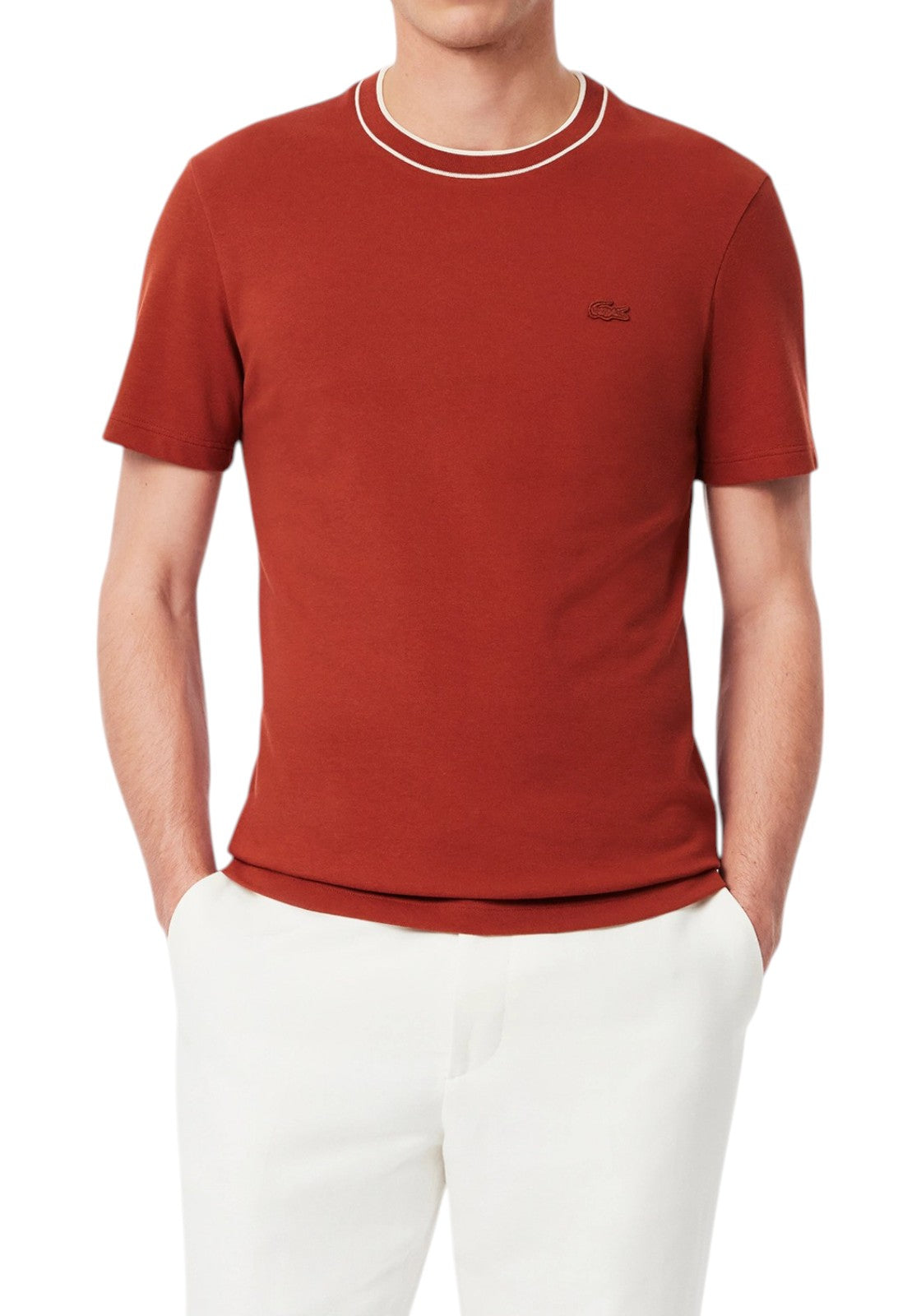 T-SHIRT E CANOTTE Mattone Lacoste
