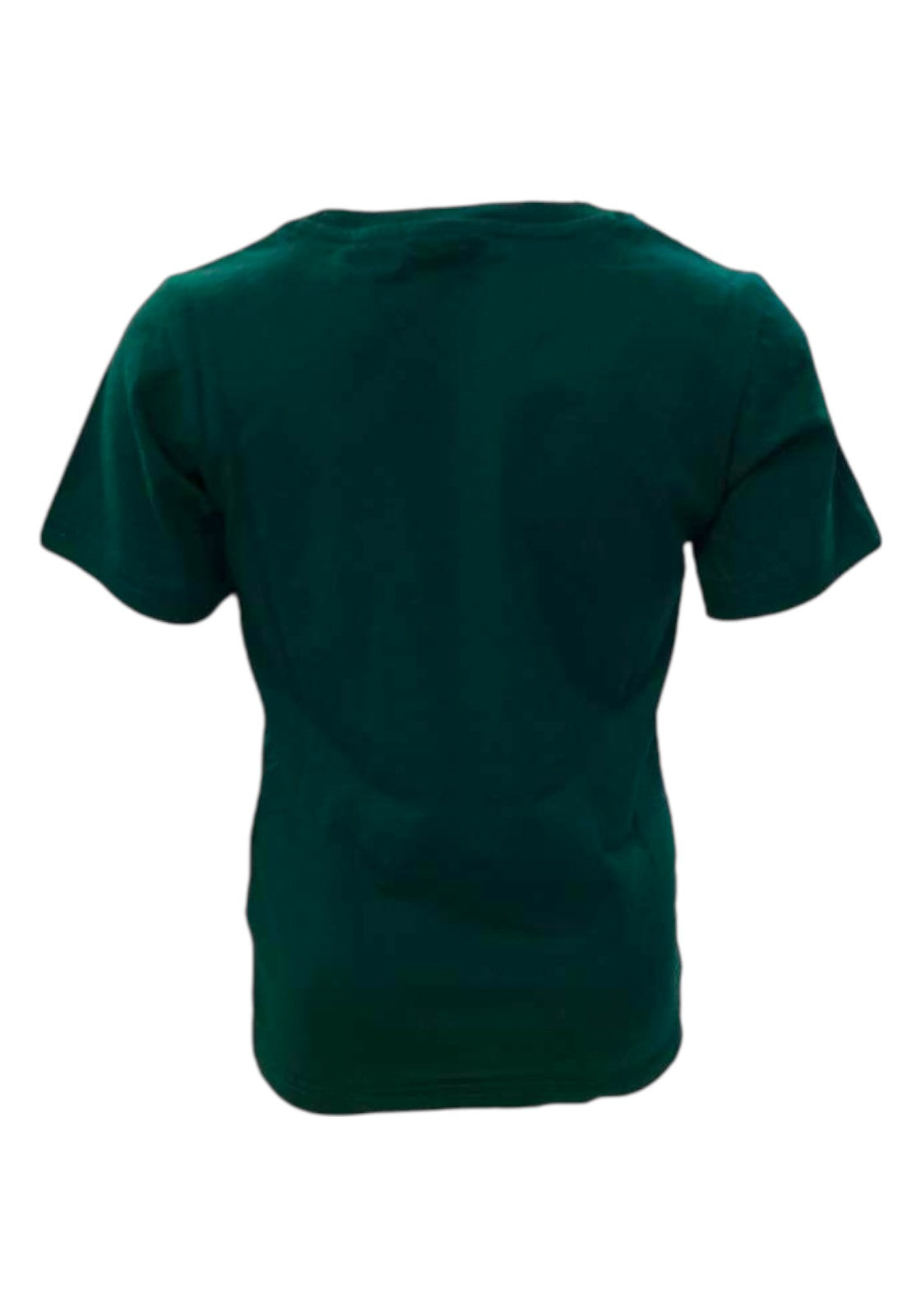 T-SHIRT E CANOTTE Verde/bianco Champion