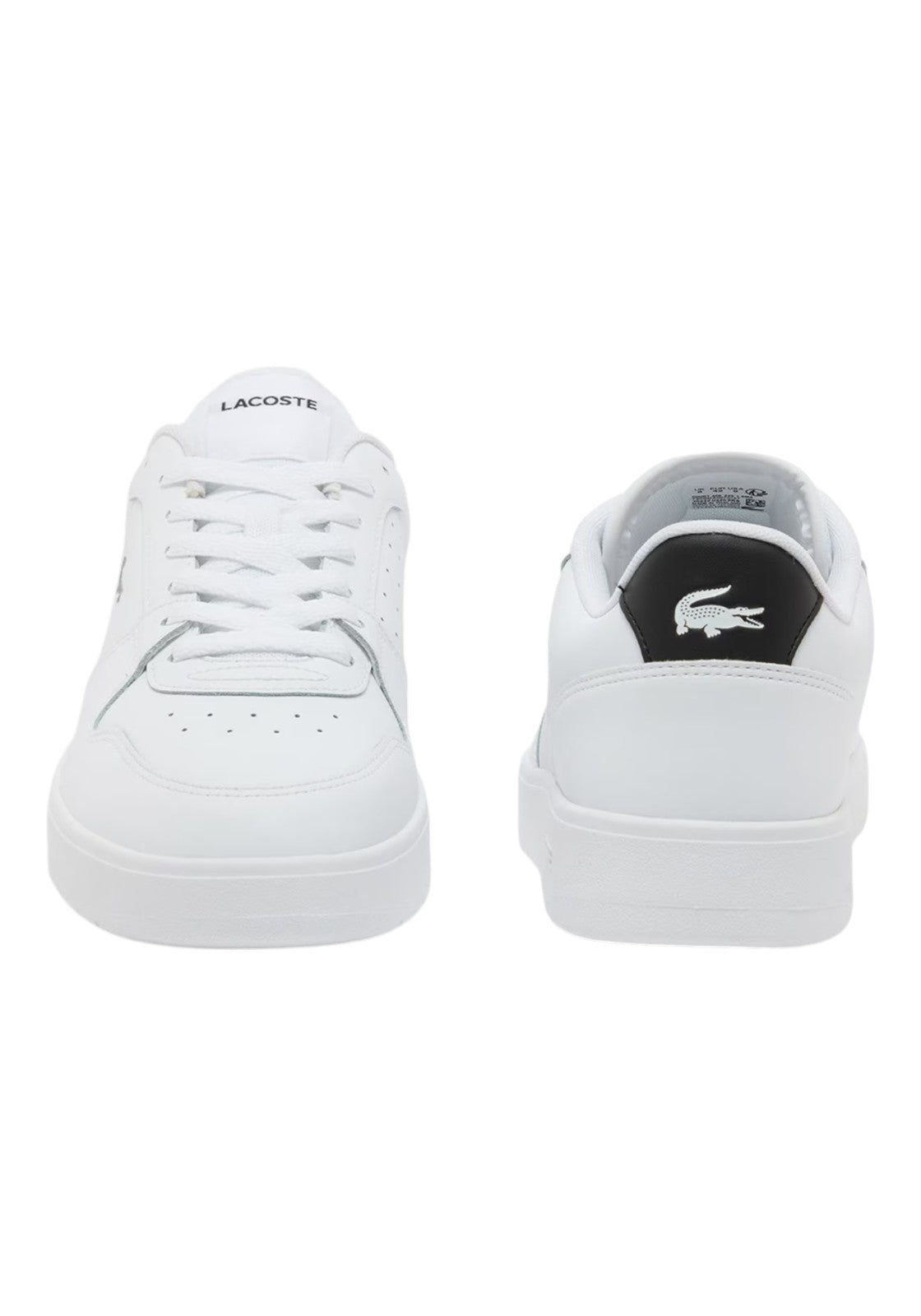 SCARPE Bianco/nero Lacoste