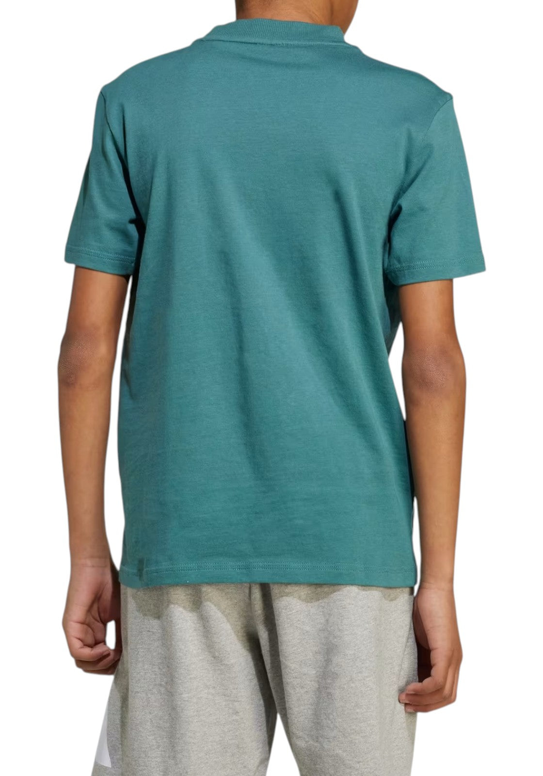 T-SHIRT E CANOTTE Verde Adidas