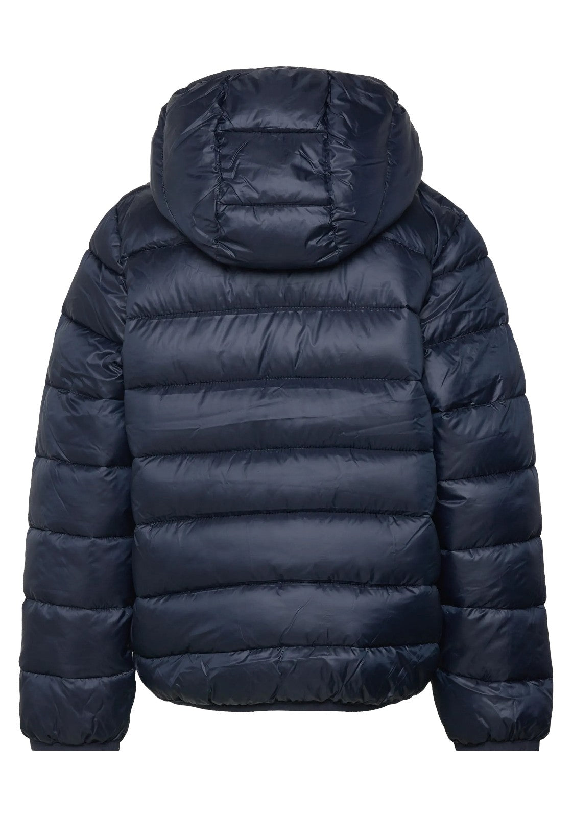 GIUBBINI E GIACCHE Blu Champion