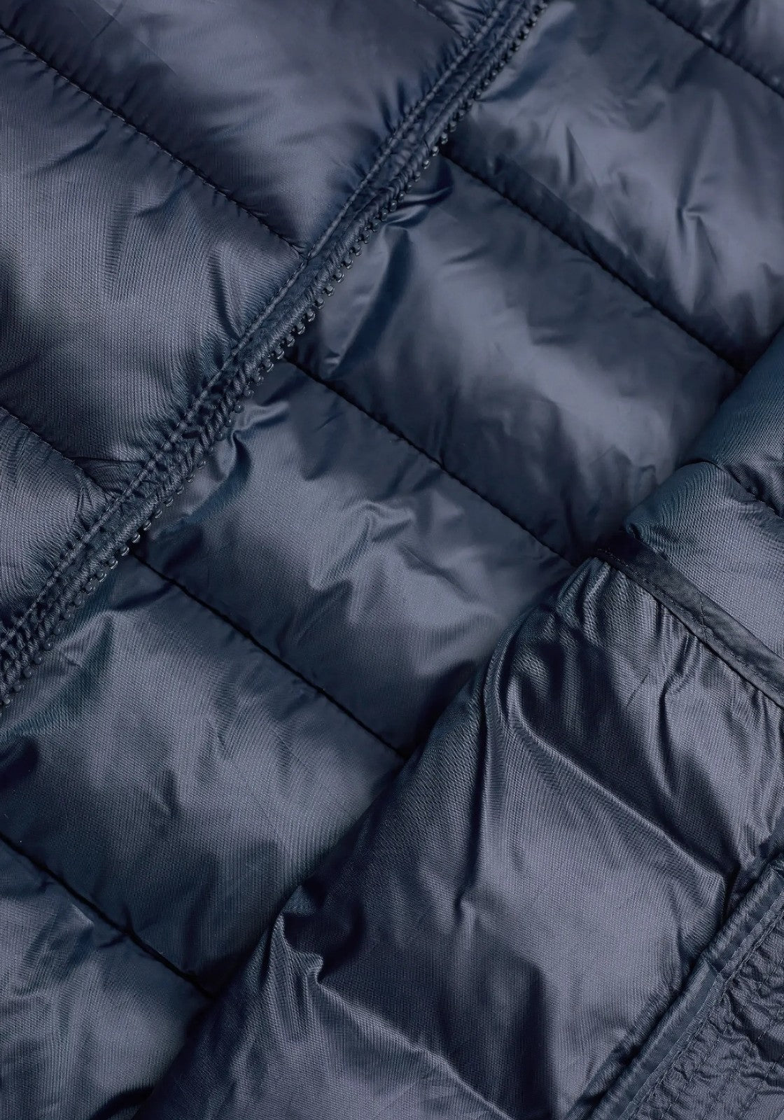 GIUBBINI E GIACCHE Blu Champion