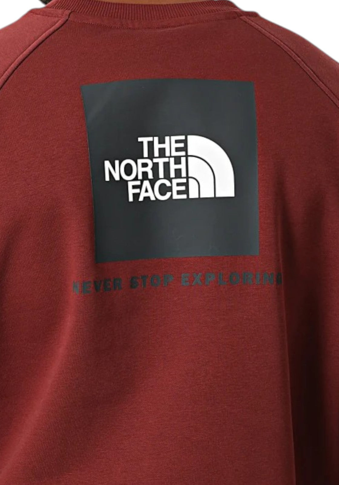 FELPE Bordeaux The North Face