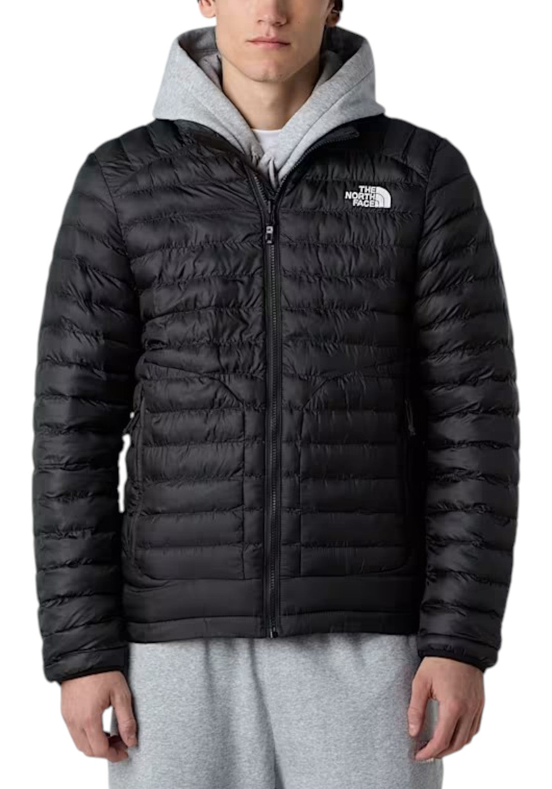 GIUBBINI E GIACCHE Nero The North Face