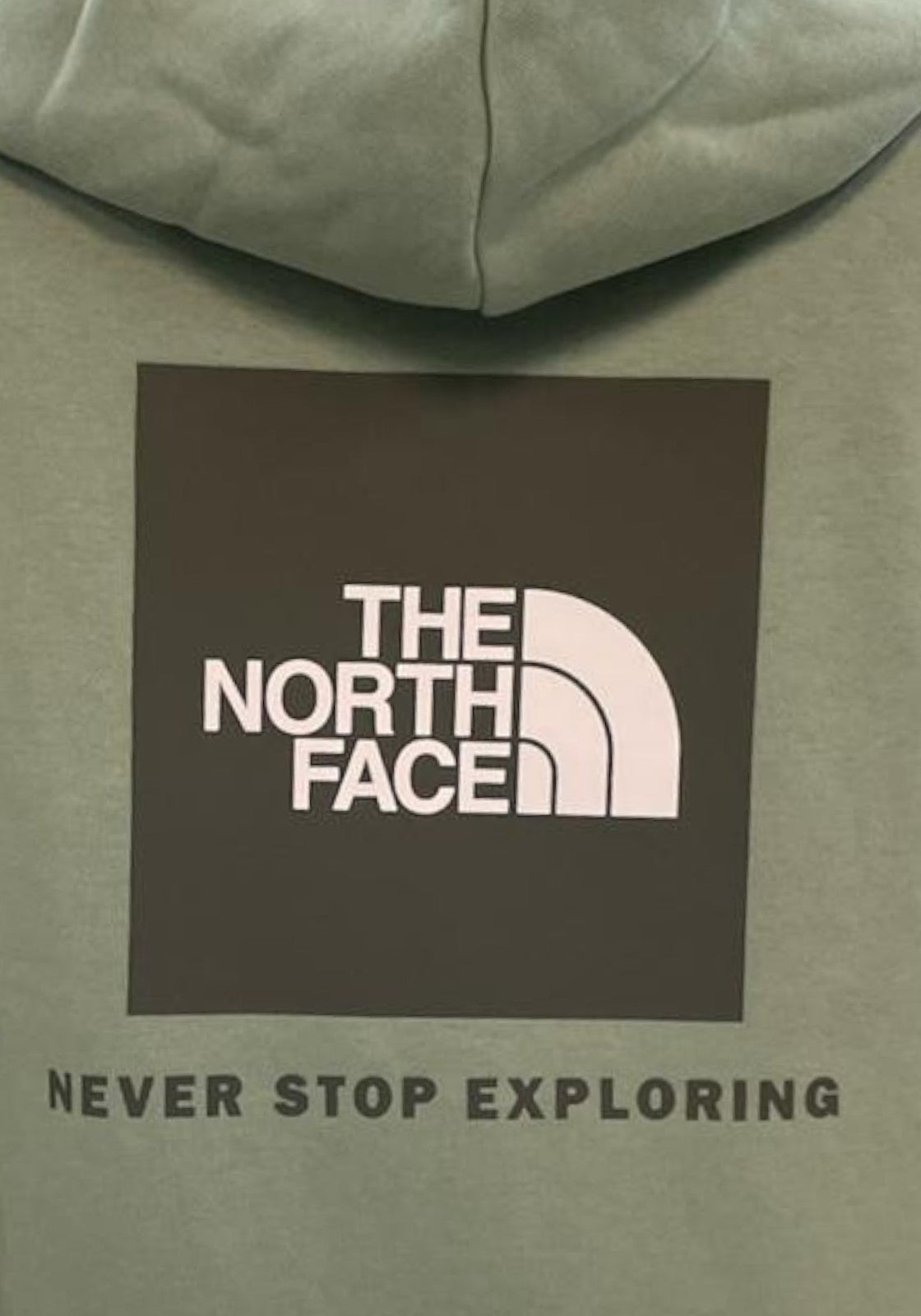 FELPE Verde Salvia The North Face