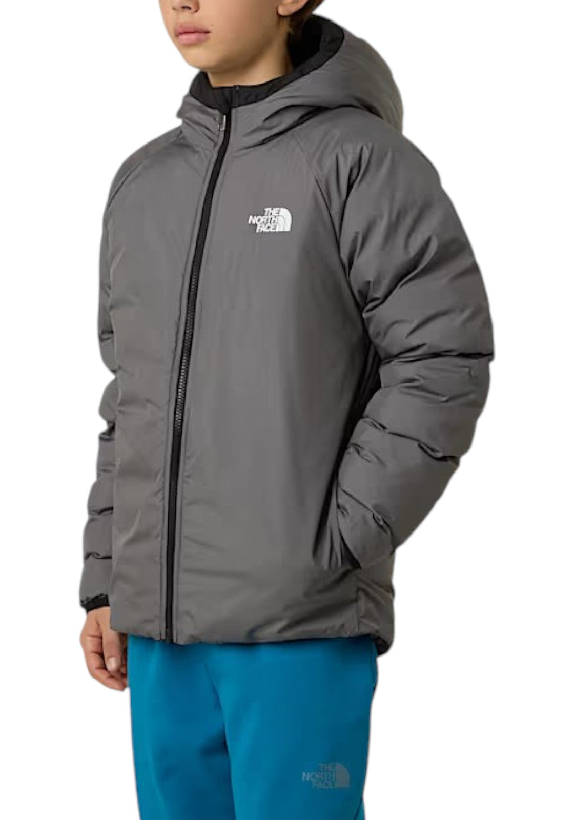 GIUBBINI E GIACCHE Nero/grigio The North Face