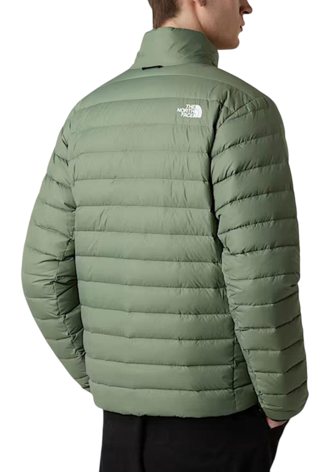 GIUBBINI E GIACCHE Verde Salvia The North Face