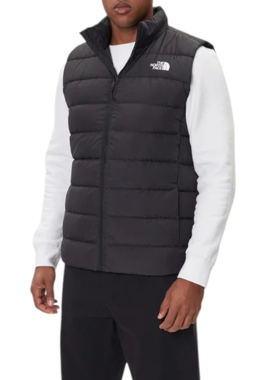 GIUBBINI E GIACCHE Nero The North Face