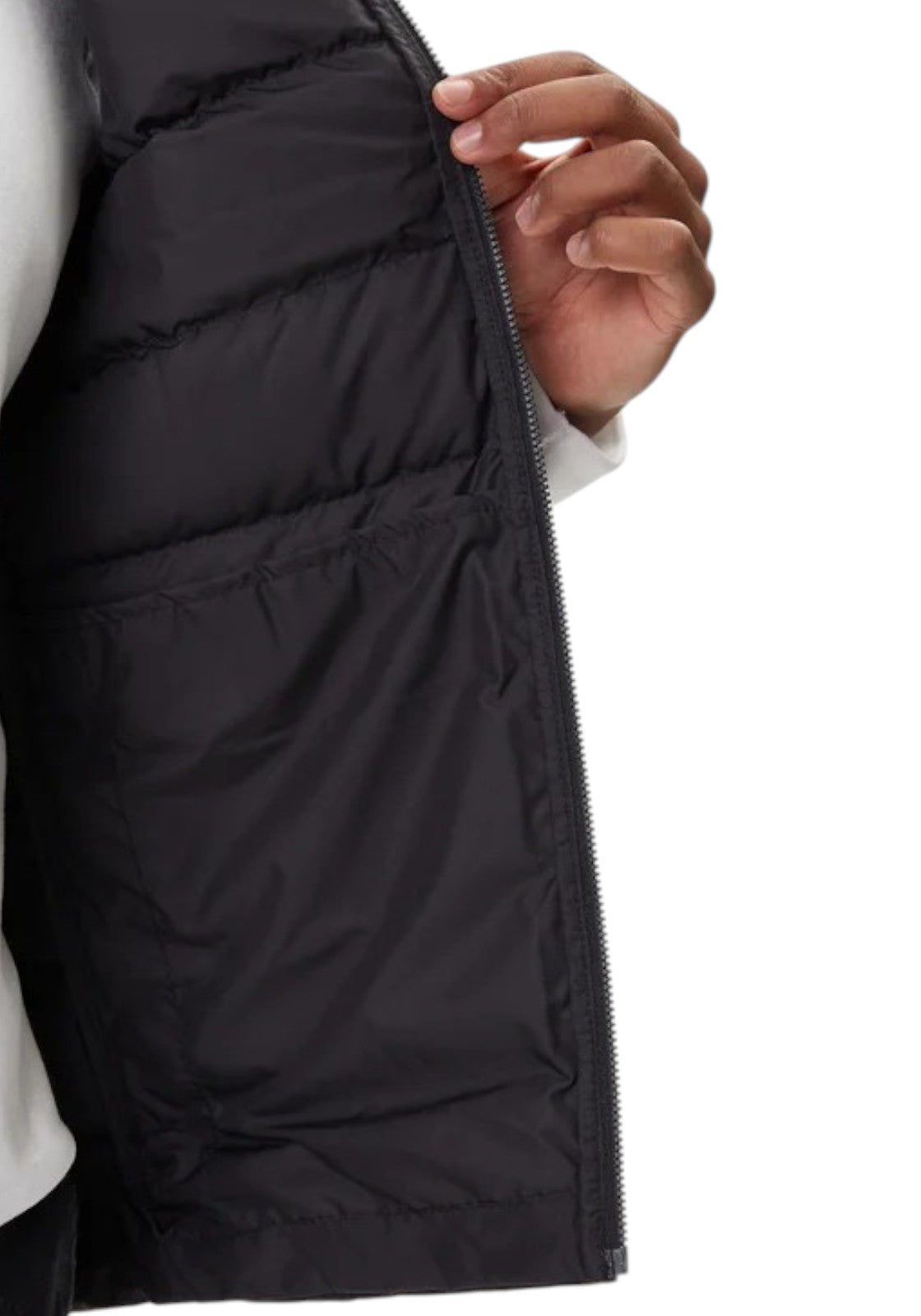 GIUBBINI E GIACCHE Nero The North Face