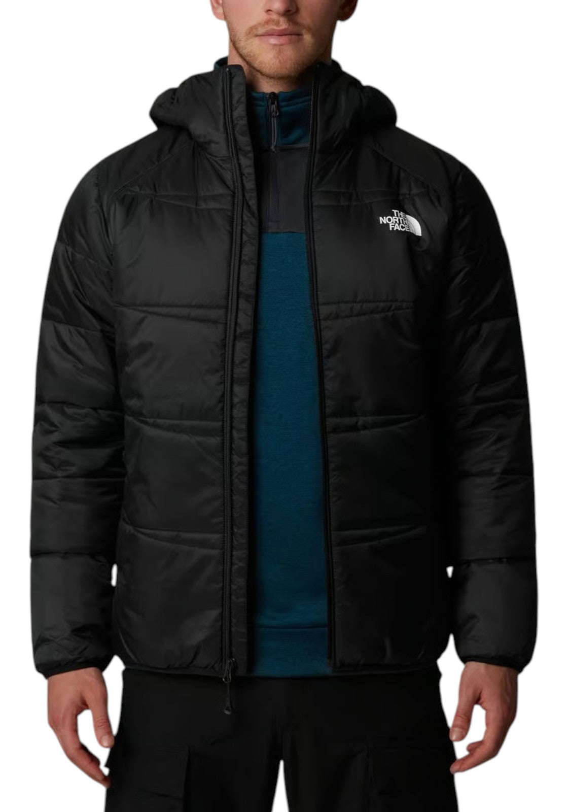GIUBBINI E GIACCHE Nero The North Face