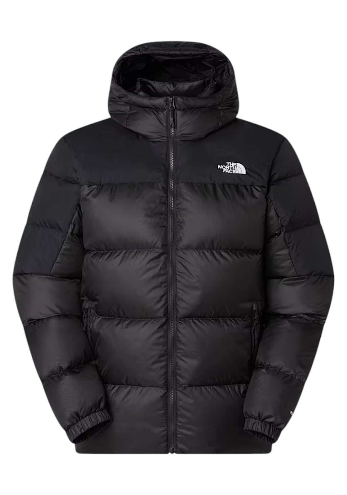 GIUBBINI E GIACCHE Nero The North Face