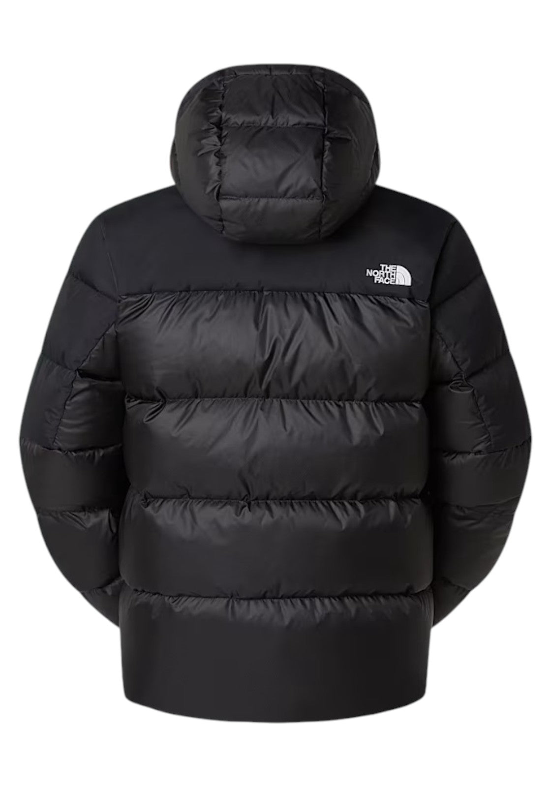 GIUBBINI E GIACCHE Nero The North Face