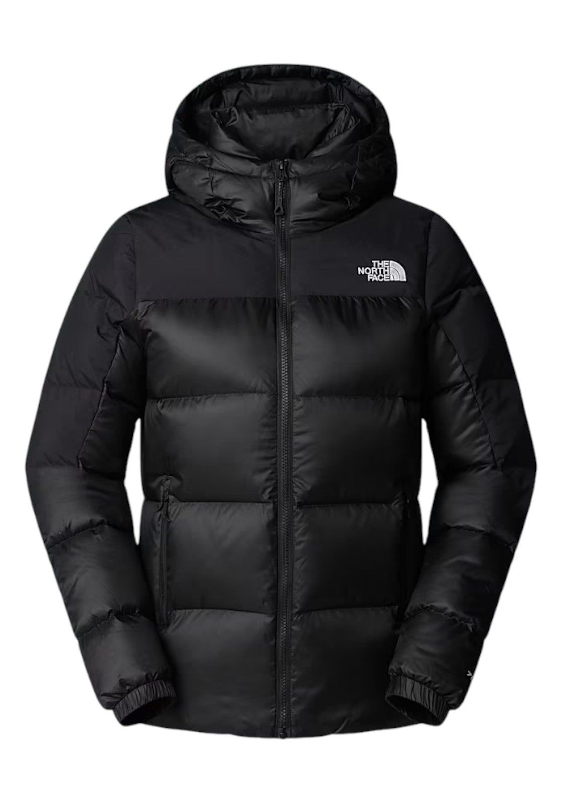 GIUBBINI E GIACCHE Nero The North Face