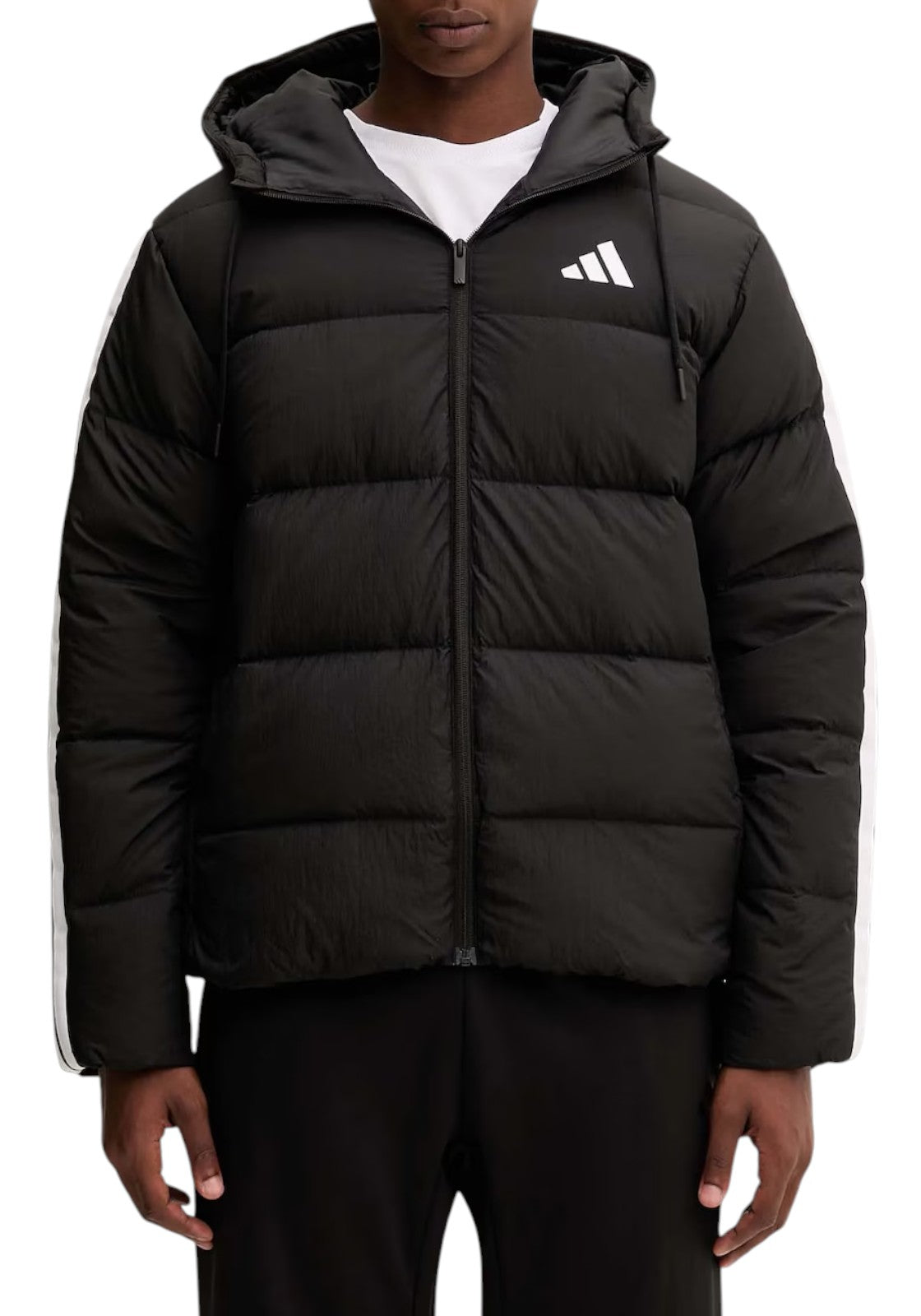 GIUBBINI E GIACCHE Nero/bianco Adidas