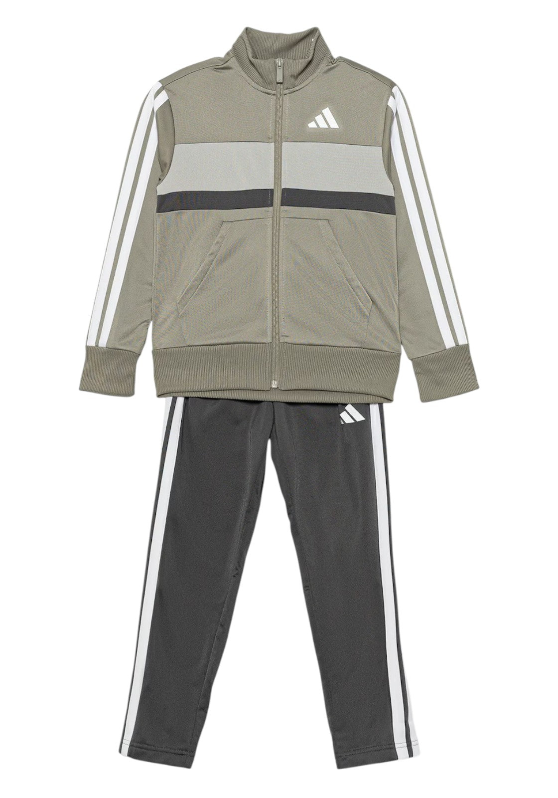 TUTE Verde/grigio Adidas