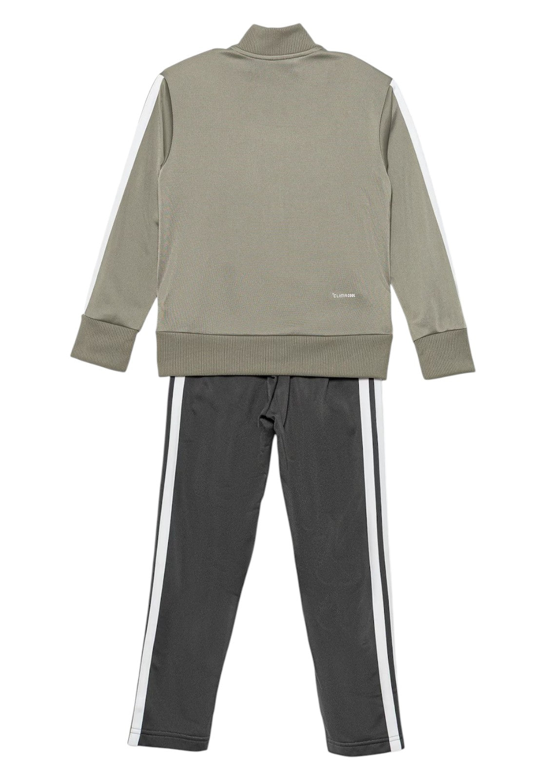 TUTE Verde/grigio Adidas