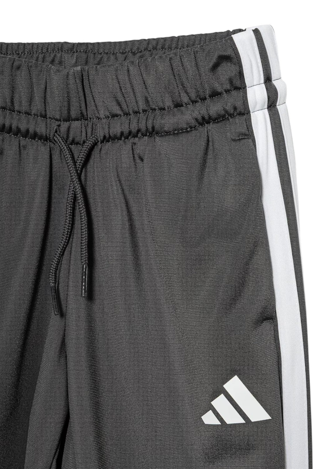 TUTE Verde/grigio Adidas