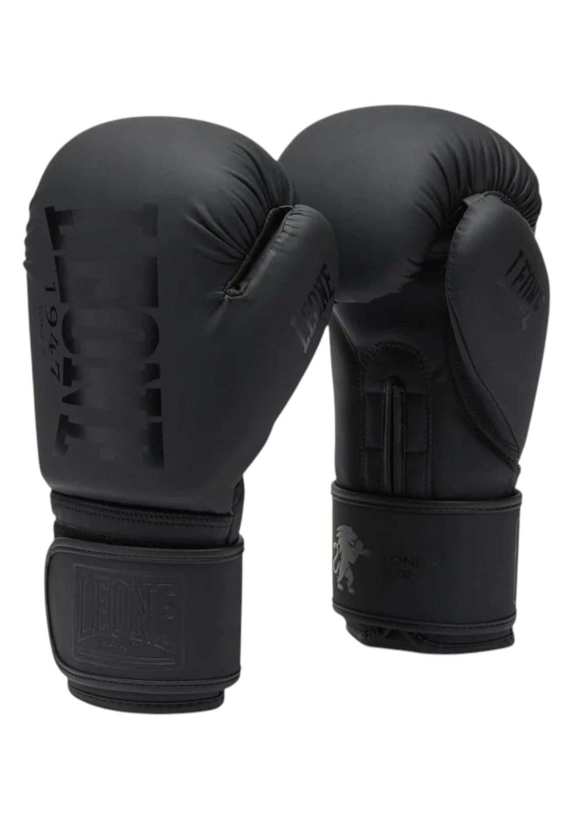 BOXE-KARATE-JUDO Nero Leone