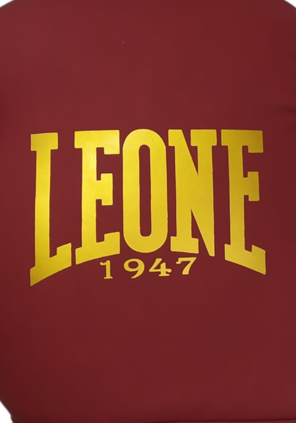 BOXE-KARATE-JUDO Bordeaux/oro Leone