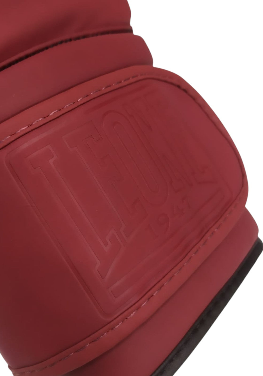 BOXE-KARATE-JUDO Bordeaux/oro Leone