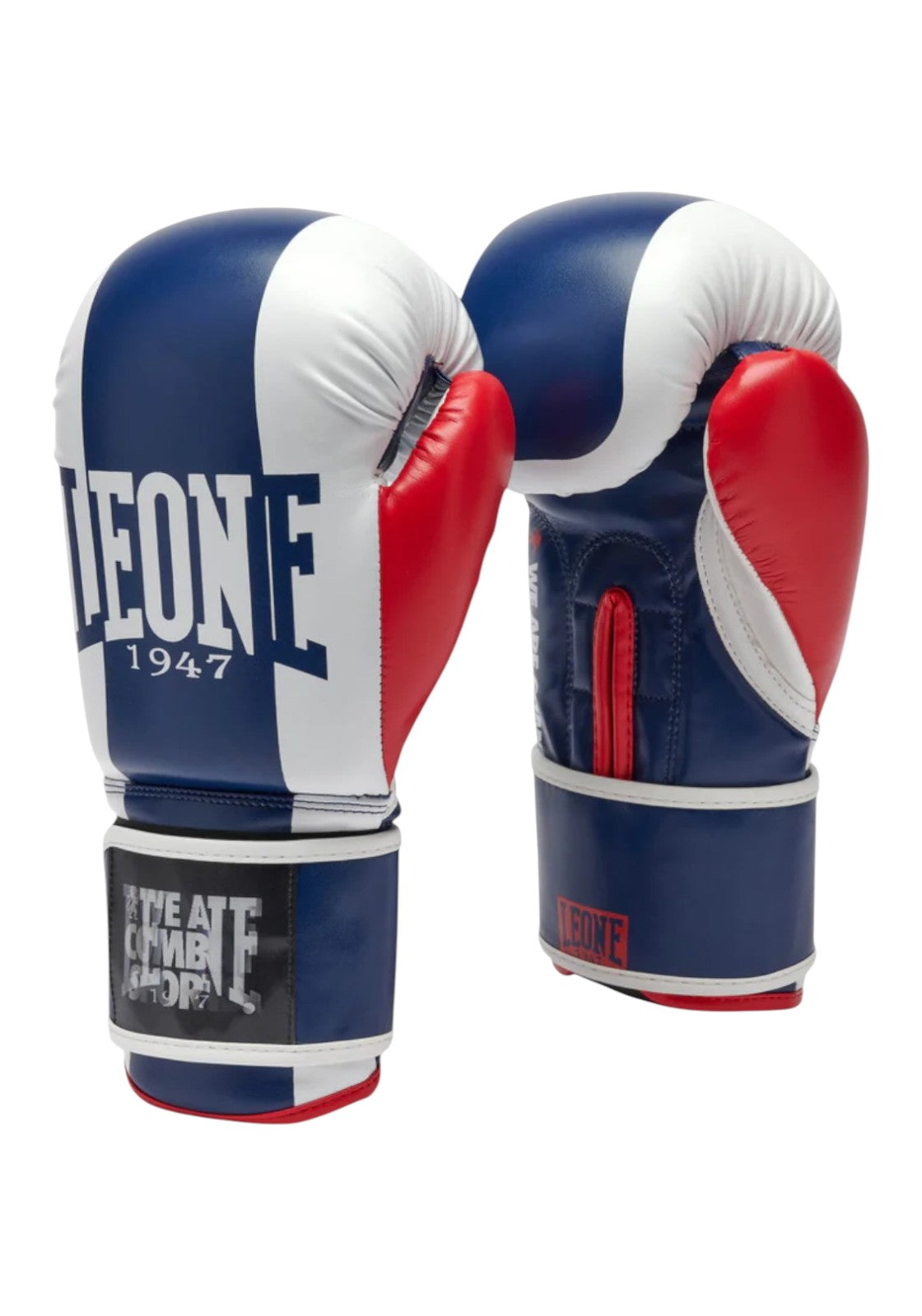 BOXE-KARATE-JUDO Blu/rosso Leone