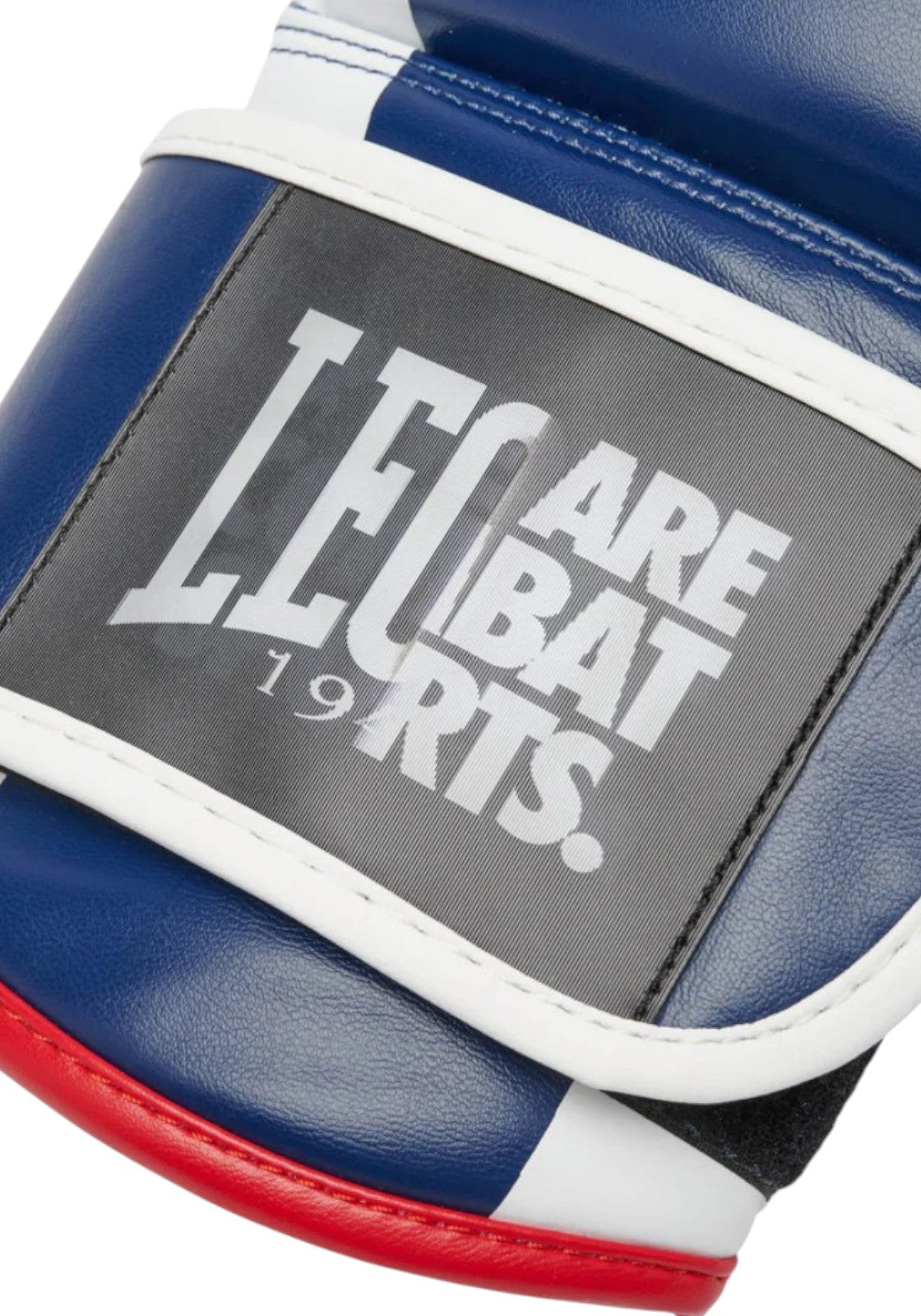 BOXE-KARATE-JUDO Blu/rosso Leone