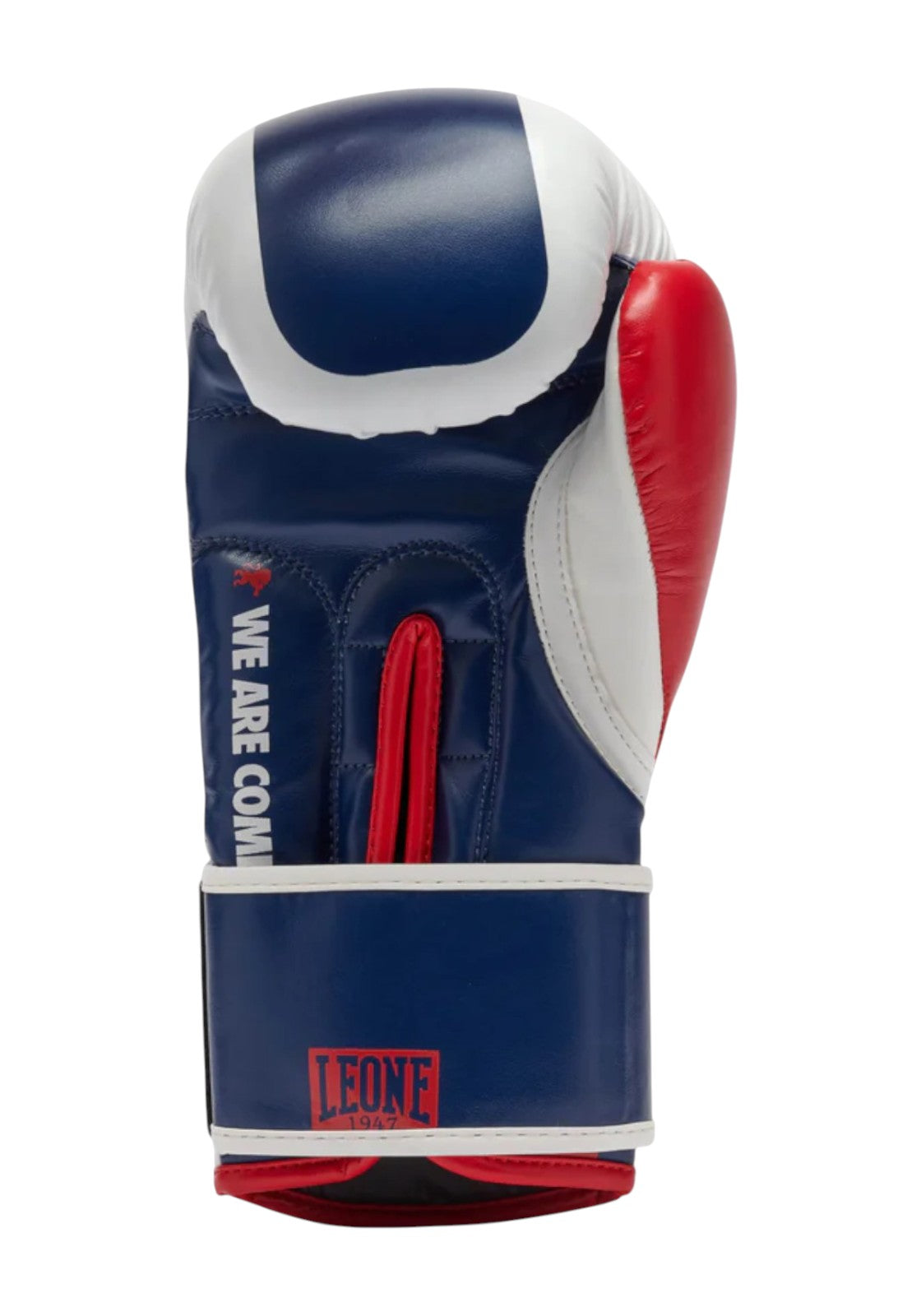 BOXE-KARATE-JUDO Blu/rosso Leone