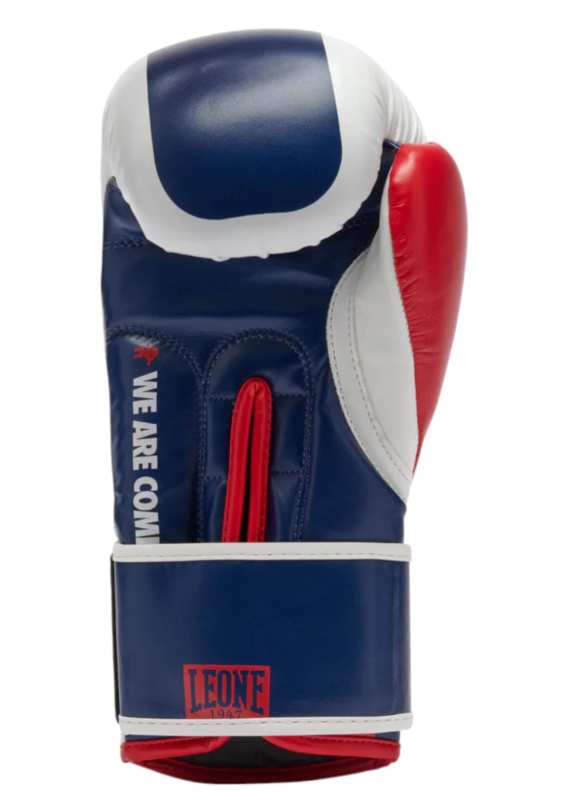 BOXE-KARATE-JUDO Blu/rosso Leone