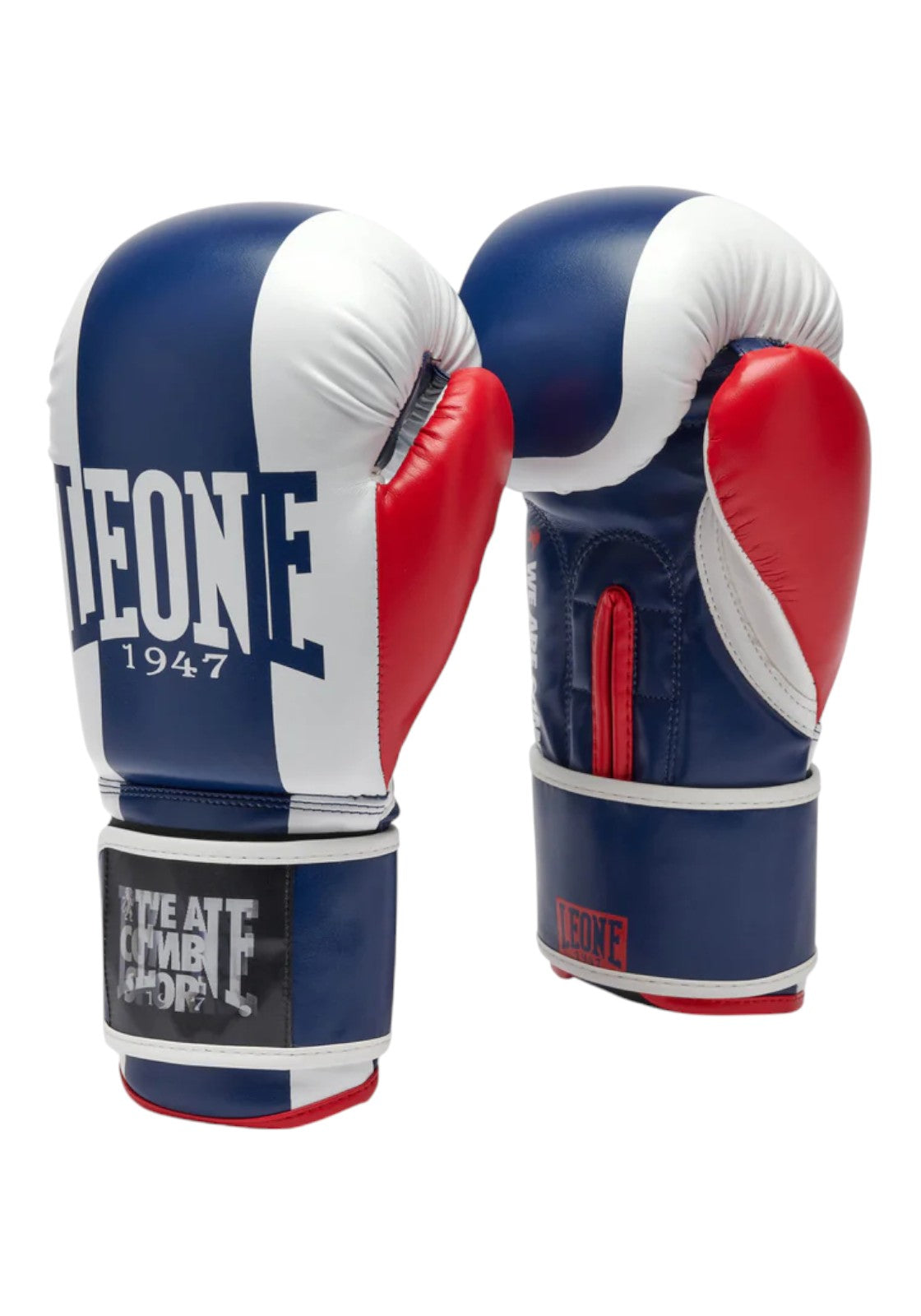 BOXE-KARATE-JUDO Blu/rosso Leone