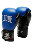 BOXE-KARATE-JUDO Blu Leone