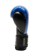 BOXE-KARATE-JUDO Blu Leone