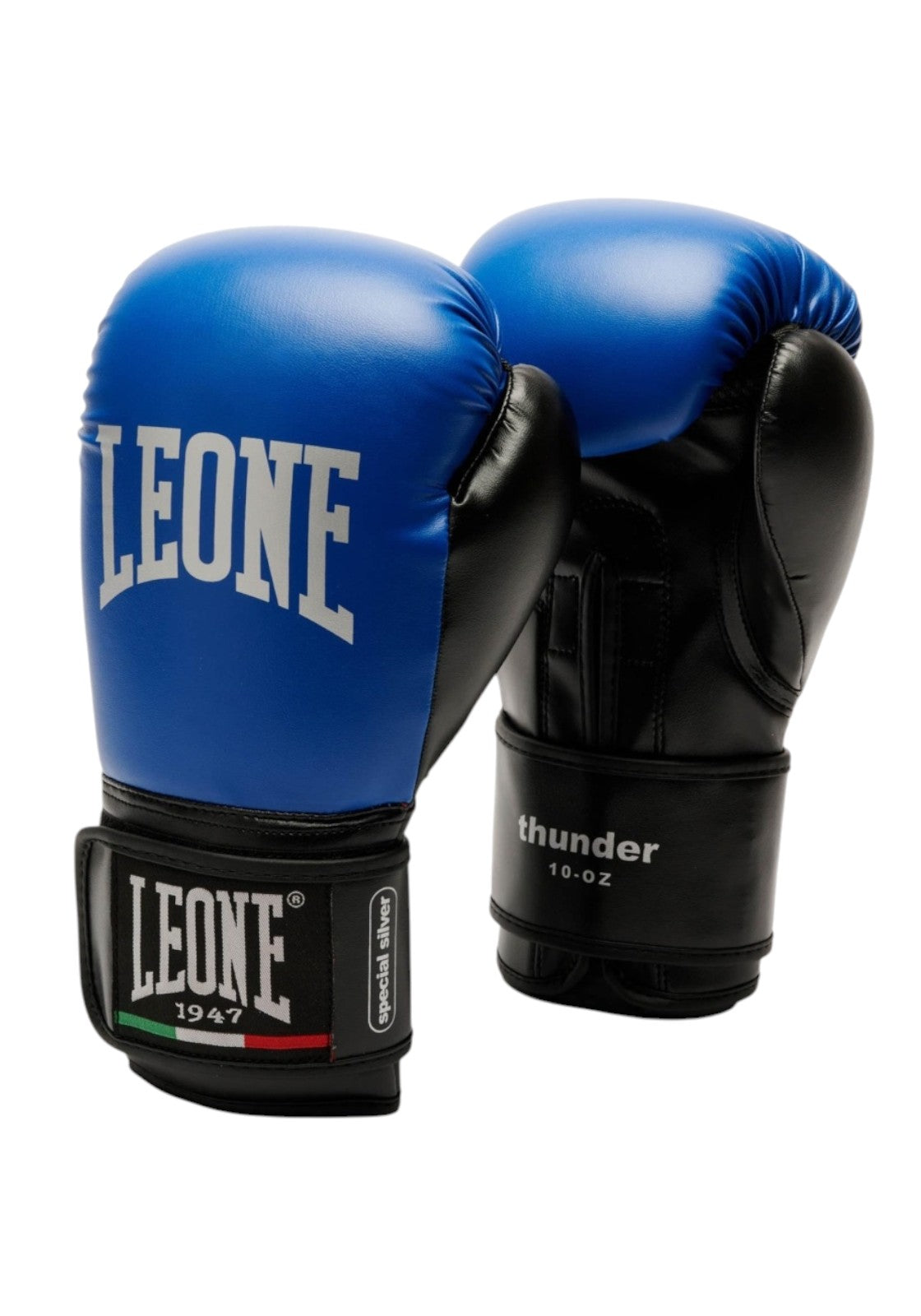 BOXE-KARATE-JUDO Blu Leone