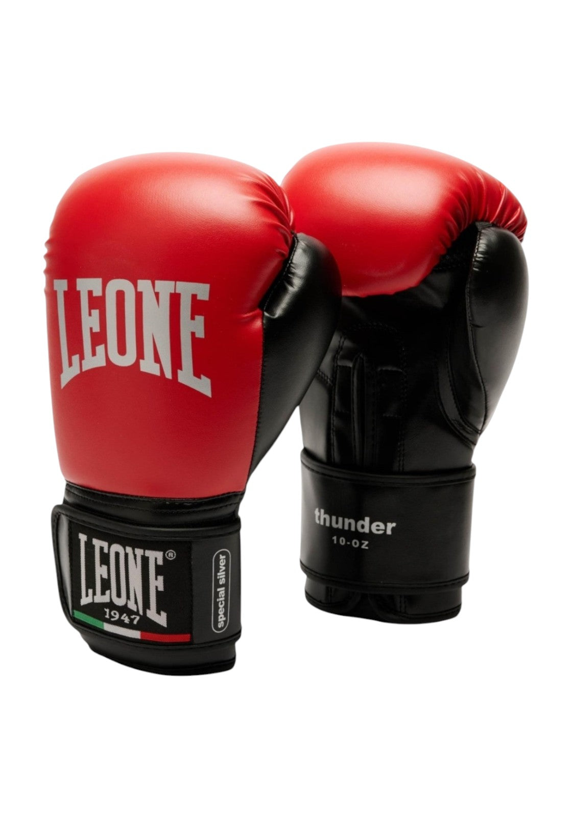 BOXE-KARATE-JUDO Rosso Leone