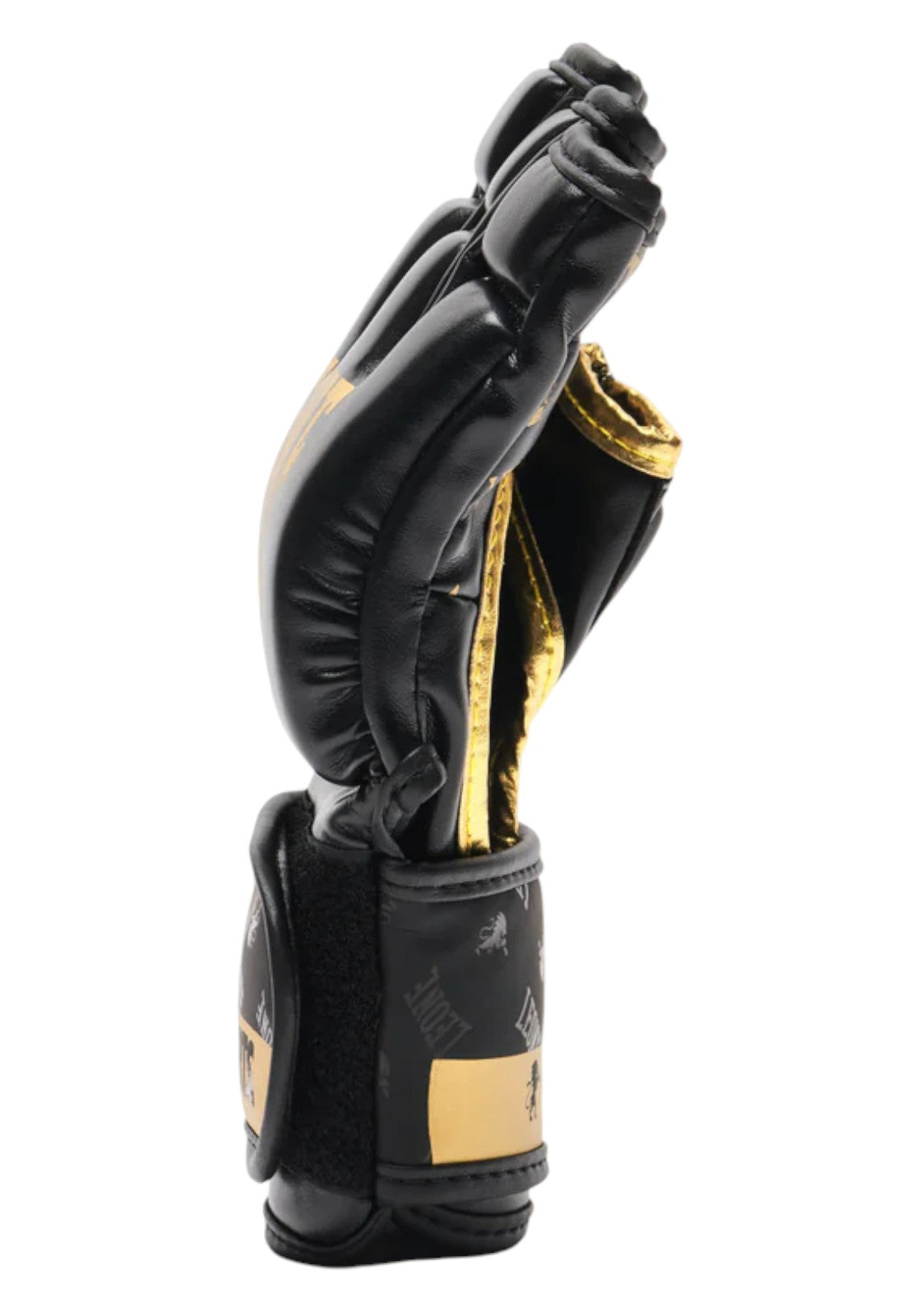 BOXE-KARATE-JUDO Nero/oro Leone
