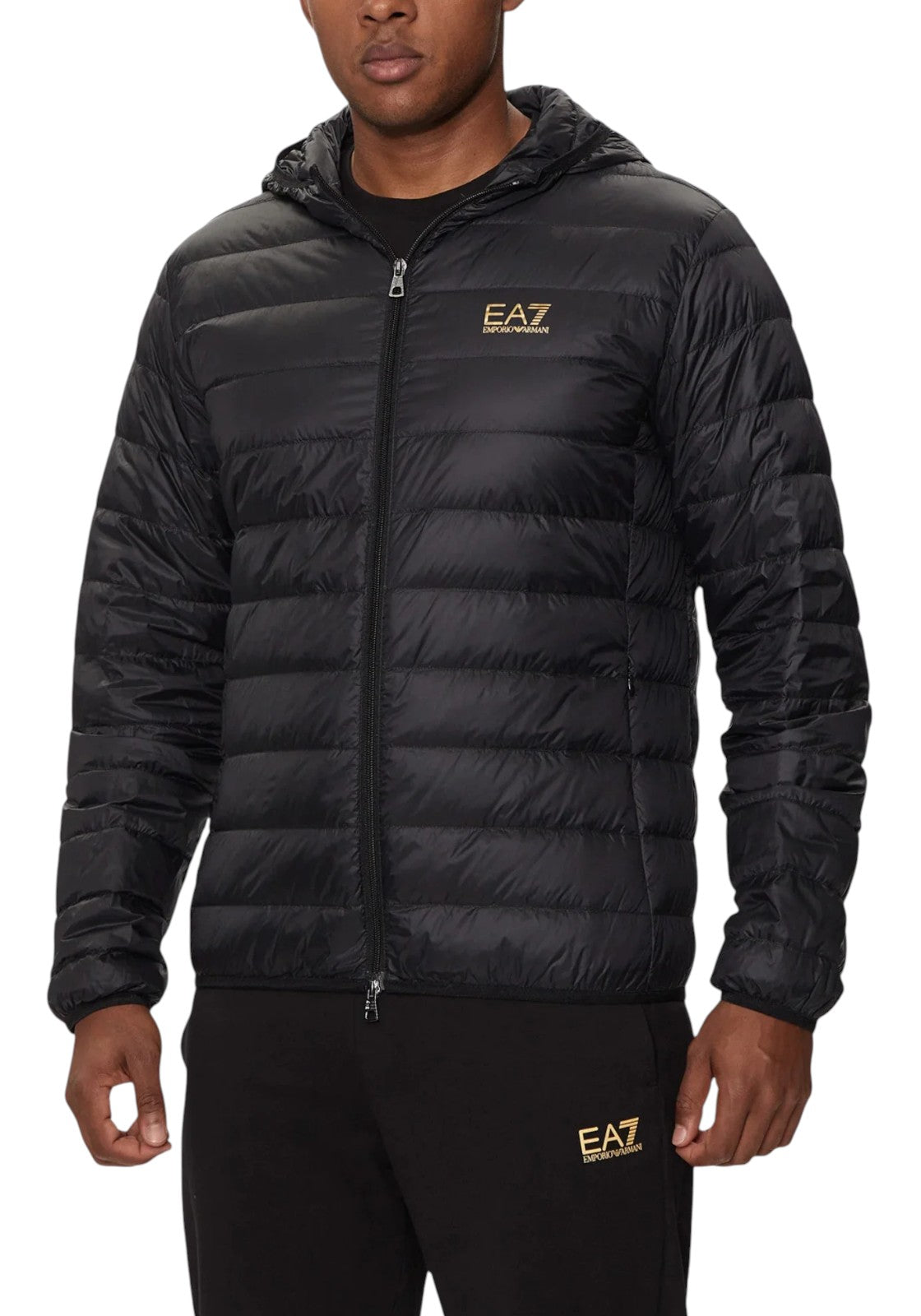 GIUBBINI E GIACCHE Nero/oro Ea7