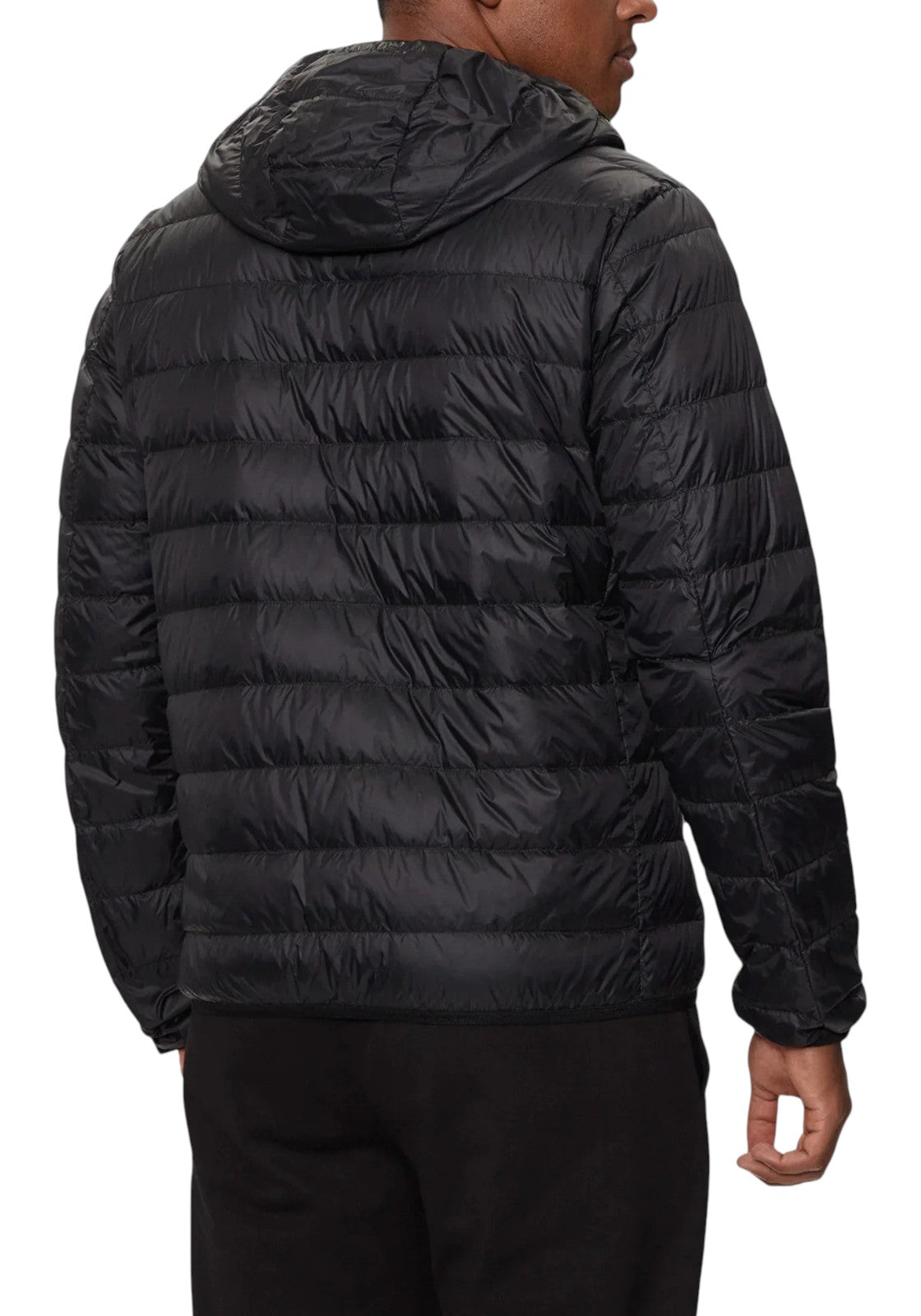 GIUBBINI E GIACCHE Nero/oro Ea7