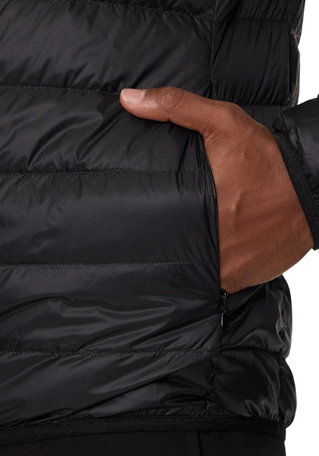 GIUBBINI E GIACCHE Nero/oro Ea7