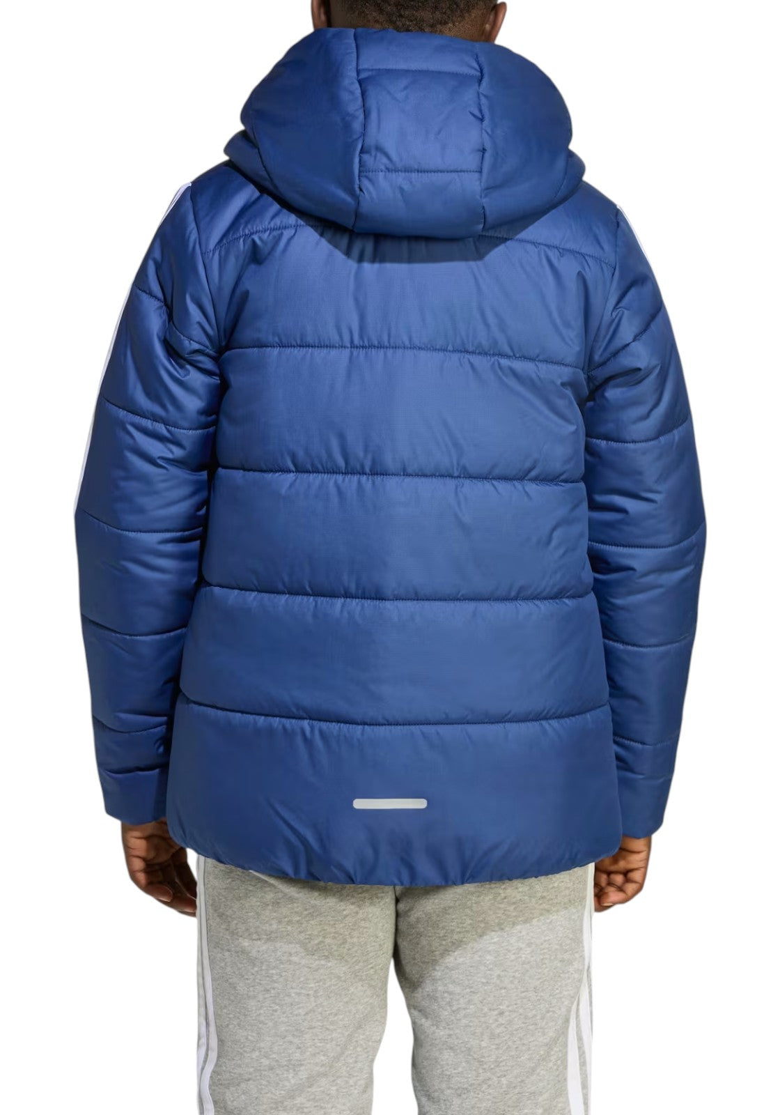 GIUBBINI E GIACCHE Azzurro/bianco Adidas