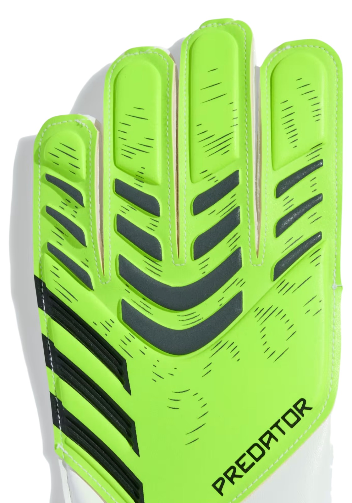 CALCIO Verde/nero Adidas