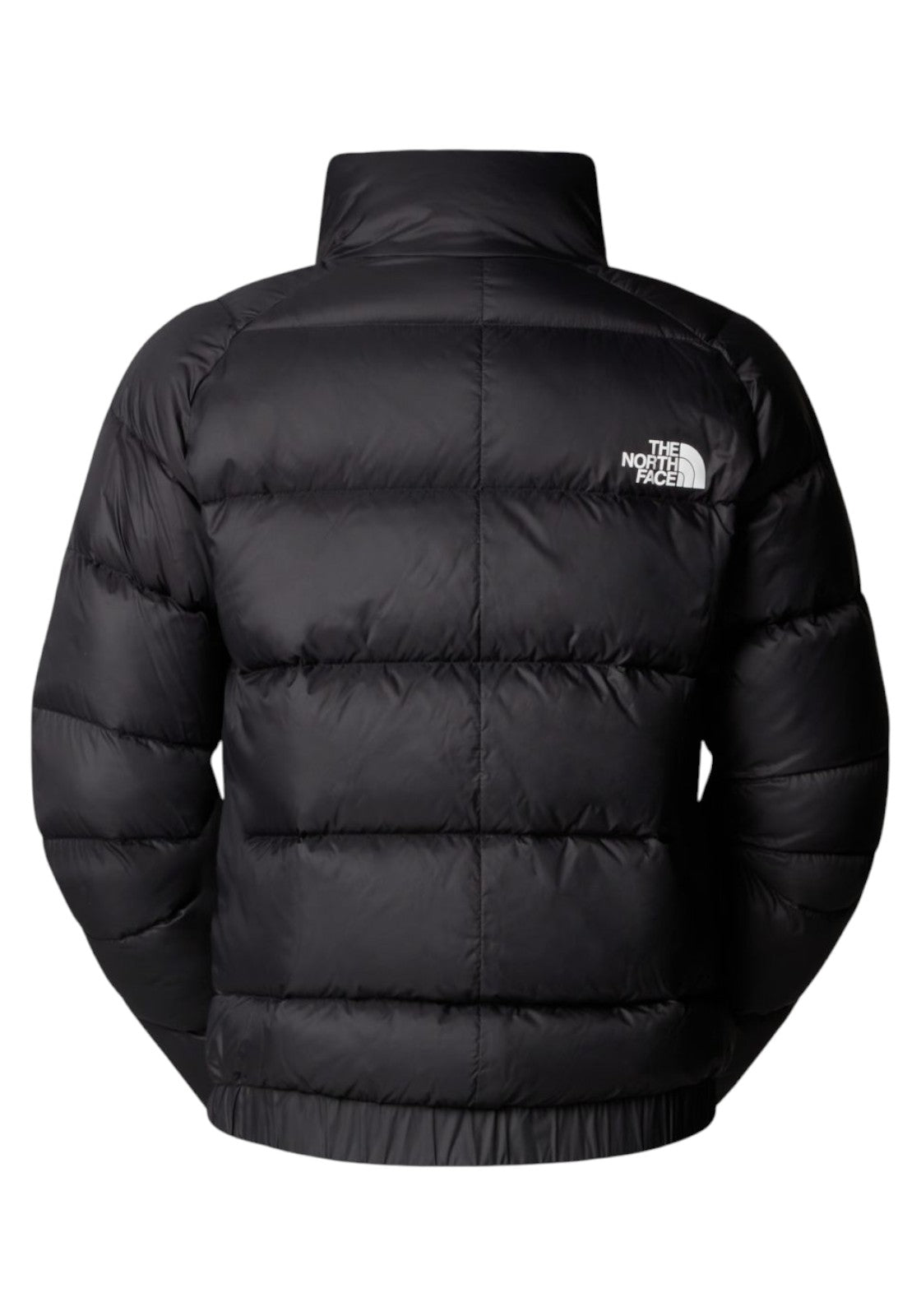 GIUBBINI E GIACCHE Nero The North Face