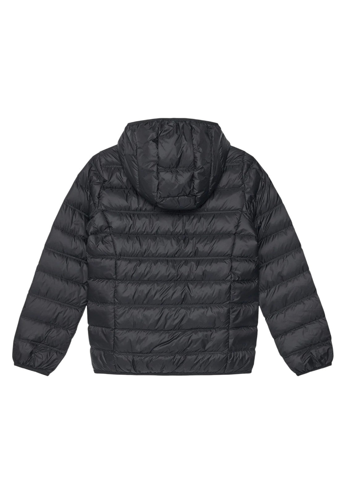 GIUBBINI E GIACCHE Nero Ea7